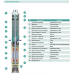 Насос свердловини SHIMGE 4SP(m) 2/22-1.1 кВт, Н 162(124)м, Q 55(30)л/хв, Ø96 мм, (кабель 65 м)